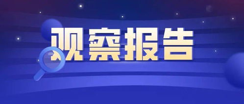 信息技術(shù)應(yīng)用調(diào)研及對(duì)法律服務(wù)行業(yè)的影響觀察報(bào)告——聚焦信息技術(shù)咨詢服務(wù)